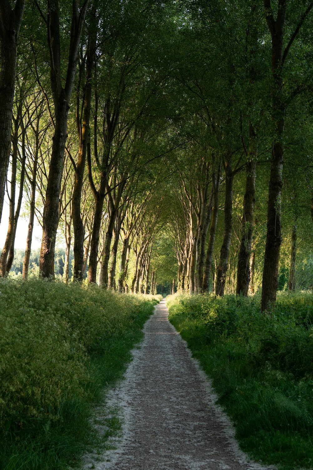 Understanding Anxiety and Excessive Worry